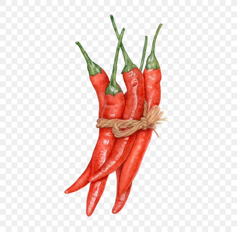 Chili Con Carne Chili Pepper Bell Pepper Peppers Spice, PNG, 800x800px, Chili Con Carne, Bell Pepper, Bell Peppers And Chili Peppers, Birds Eye Chili, Black Pepper Download Free