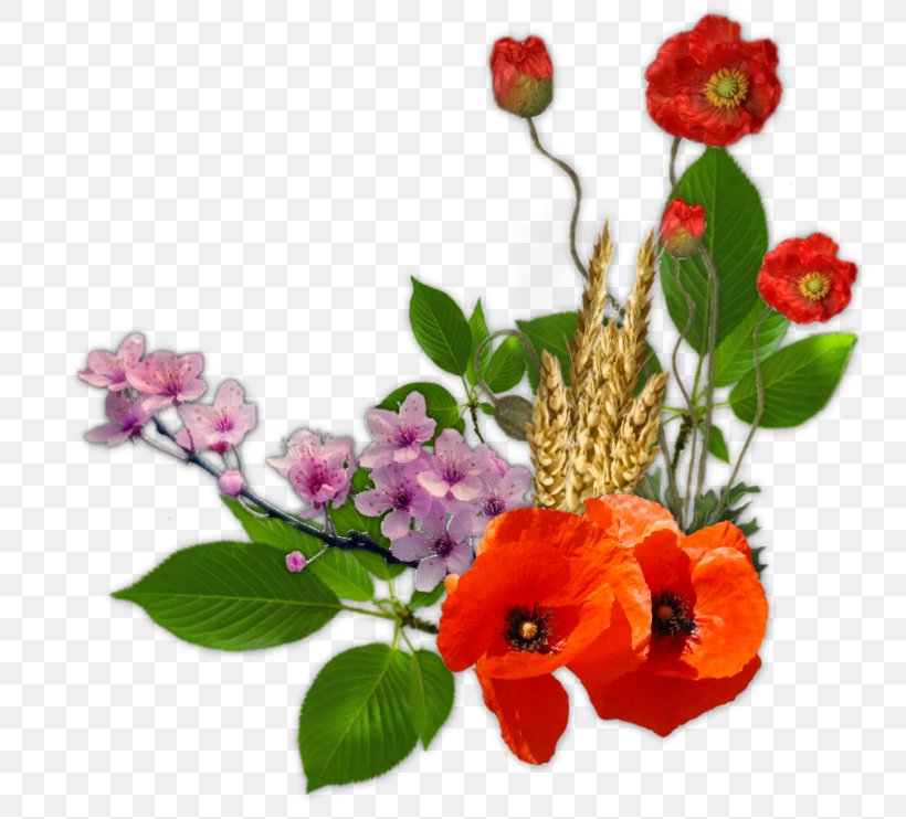 Flower Clip Art, PNG, 800x742px, Flower, Annual Plant, Cut Flowers, Floral Design, Floristry Download Free