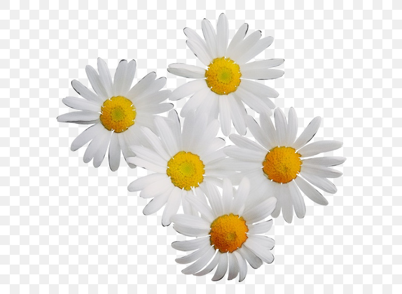 Artificial Flower, PNG, 600x600px, Watercolor, Artificial Flower, Aster, Asterales, Barberton Daisy Download Free