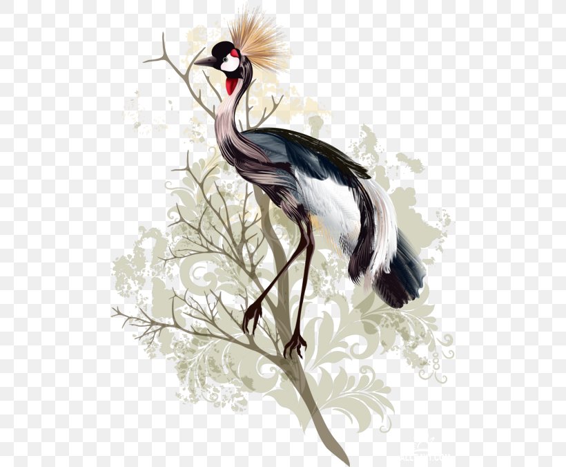 Bird Crane Drawing Watercolor Painting, PNG, 500x676px, Bird, Beak, Crane, Crane Like Bird, Drawing Download Free