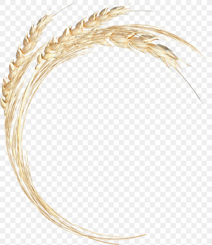 Clothing Accessories Body Jewellery Headgear Feather, PNG, 1828x2107px, Clothing Accessories, Body Jewellery, Body Jewelry, Commodity, Family Download Free