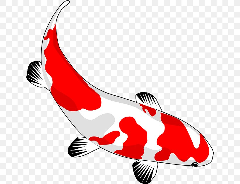 Koi Goldfish Drawing Clip Art, PNG, 640x631px, Koi, Carp, Cartoon, Common Carp, Drawing Download Free
