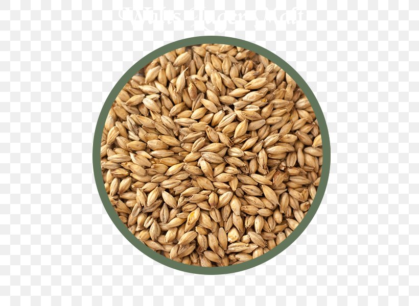 Oat Cereal Malt Beer Spelt, PNG, 600x600px, Oat, Avena, Barley, Barley Malt, Beer Download Free