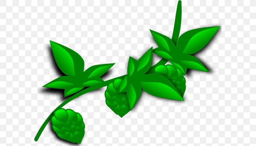 Plant Coca Clip Art, PNG, 600x468px, Plant, Brewery, Coca, Drawing, Fern Download Free