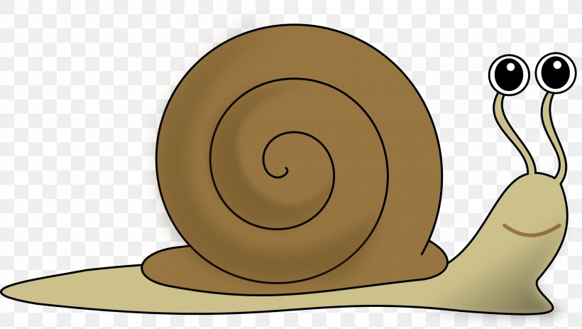 Snail Clip Art, PNG, 2400x1357px, Snail, Free Content, Gastropod Shell, Heliciculture, Invertebrate Download Free