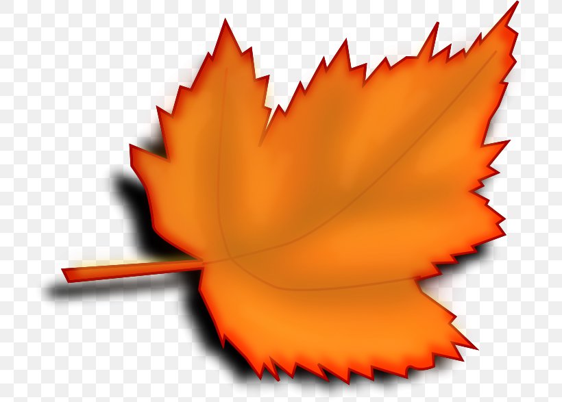 Autumn Leaf Color Clip Art, PNG, 720x587px, Autumn Leaf Color, Autumn, Color, Flower, Leaf Download Free