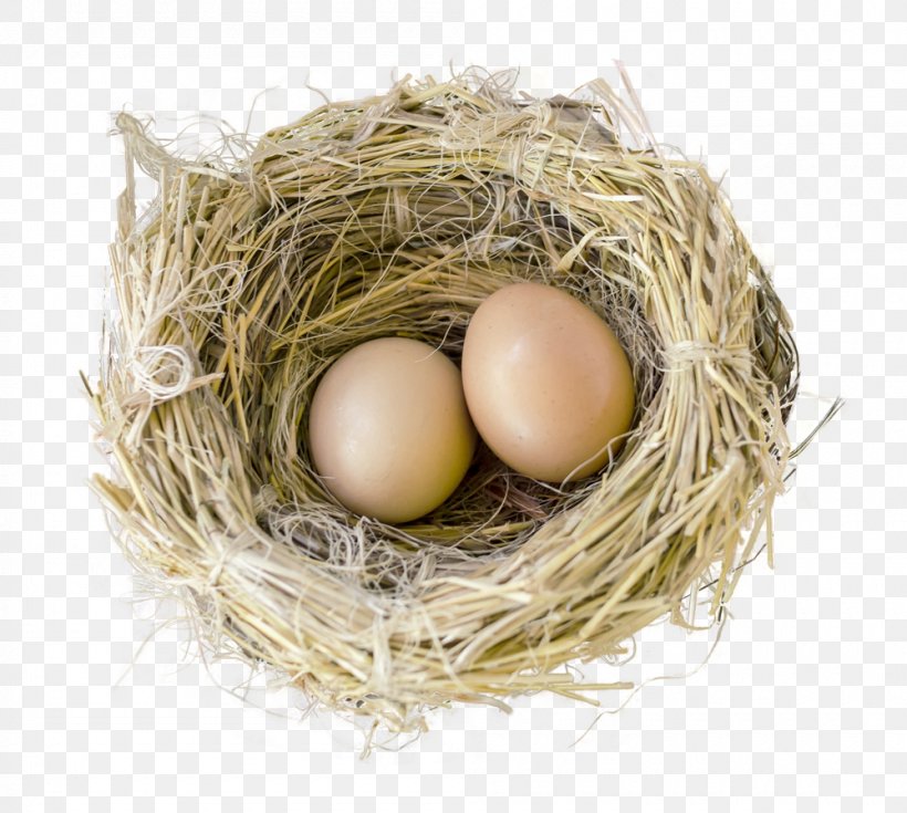 Bird Nest Clip Art, PNG, 1000x897px, Nest, Bird Nest, Chicken Egg, Egg, Image File Formats Download Free