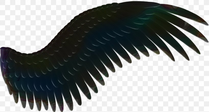 Book Silhouette, PNG, 900x486px, Raven Book Store, Drawing, Eyelash, Silhouette, Wing Download Free