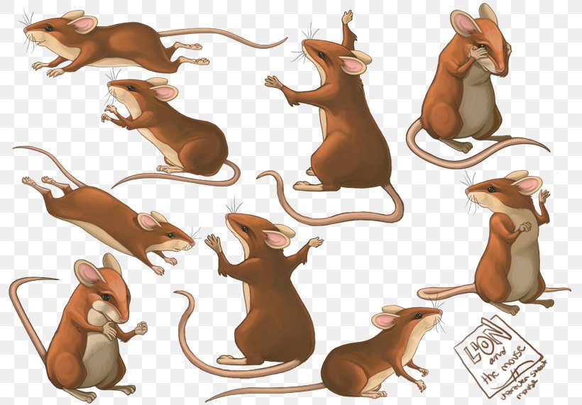 Mouse Muroids Model Sheet Secrets At Sea, PNG, 800x571px, Mouse, Animated Film, Animator, Carnivoran, Cartoon Download Free