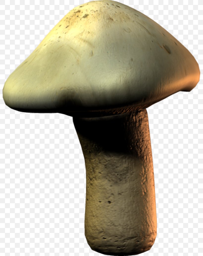 Mushroom, PNG, 800x1033px, Mushroom Download Free