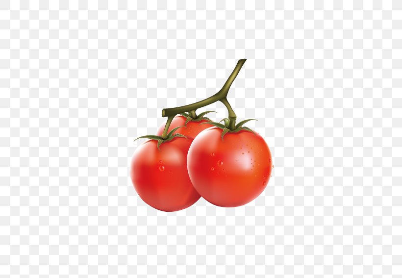 Cherry Tomato Vegetable Fruit Clip Art, PNG, 567x567px, Cherry Tomato, Bush Tomato, Cherry, Chili Pepper, Diet Food Download Free