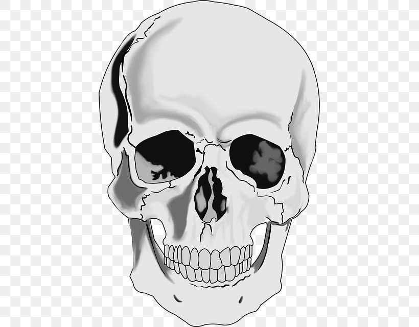 Clip Art Skull Human Skeleton Drawing, PNG, 433x640px, Skull, Anatomy, Black And White, Bone, Drawing Download Free