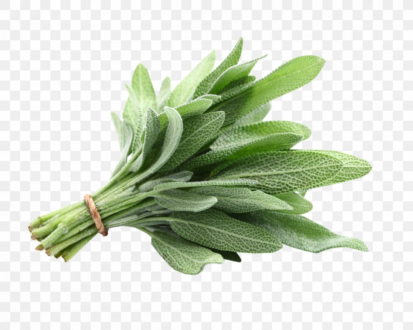 Common Sage Clary Tart Herb Henna, PNG, 1200x960px, Common Sage, Candle, Clary, Grass, Hair Coloring Download Free
