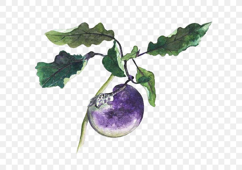 Eggplant Google Images Download Icon, PNG, 708x578px, Eggplant, Branch, Cartoon, Food, Fruit Download Free