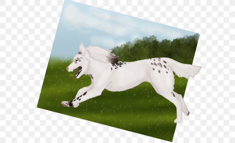 Stallion Mustang Mare Horse Tack Freikörperkultur, PNG, 600x500px, Stallion, Grass, Horse, Horse Like Mammal, Horse Tack Download Free