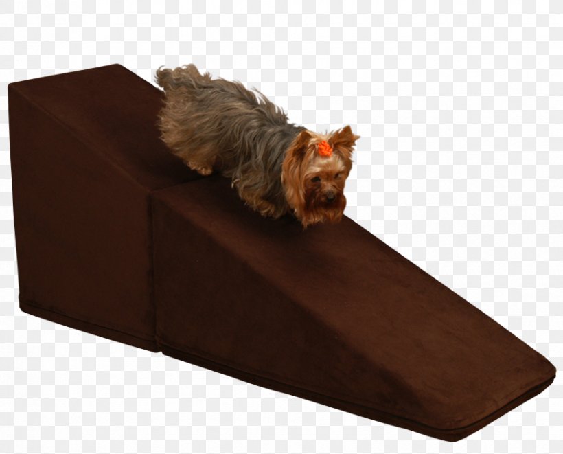 Yorkshire Terrier Couch Bed Rectangle, PNG, 868x700px, Yorkshire Terrier, Bed, Box, Carnivoran, Couch Download Free