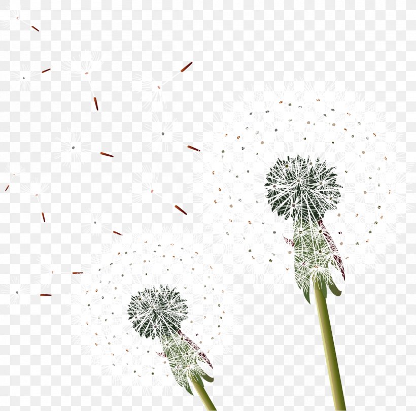 Dandelion Clip Art, PNG, 1205x1191px, Dandelion, Flora, Flower, Flowering Plant, Grass Download Free