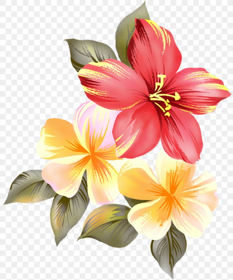 Evening Good Love Rose Romance, PNG, 886x1064px, Evening, Alstroemeriaceae, Amaryllis Belladonna, Cut Flowers, Day Download Free