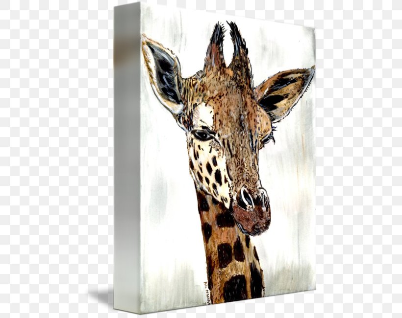 Giraffe Fauna Neck Wildlife Terrestrial Animal, PNG, 480x650px, Giraffe, Animal, Fauna, Giraffidae, Mammal Download Free