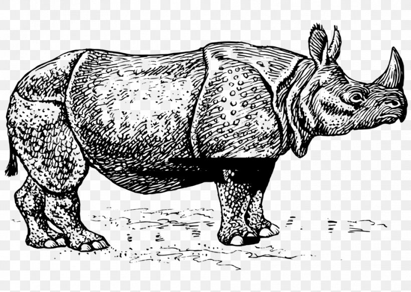 Javan Rhinoceros Horn Black Rhinoceros Clip Art, PNG, 958x682px, Rhinoceros, Animal, Black And White, Black Rhinoceros, Cattle Like Mammal Download Free