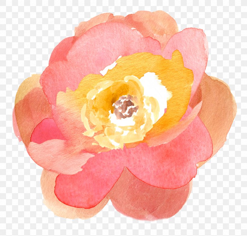 Watercolor Painting Flower Drawing Clip Art, PNG, 1878x1791px, Watercolor Painting, Art, Blog, Cut Flowers, Drawing Download Free