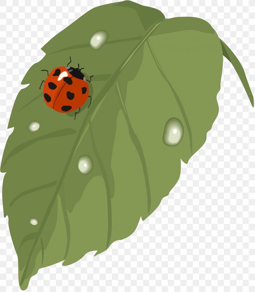 Clip Art, PNG, 2383x2729px, Game, Beetle, Green, Insect, Invertebrate Download Free