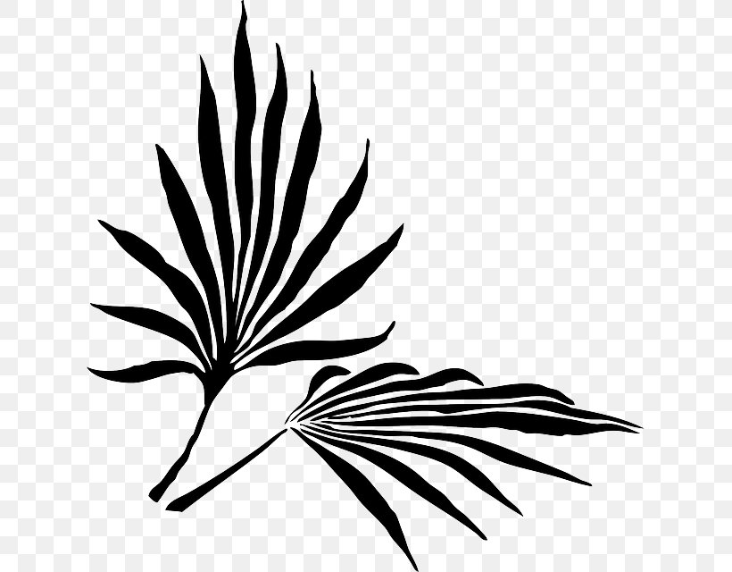 Palm Branch Frond Arecaceae Clip Art, PNG, 625x640px, Palm Branch, Arecaceae, Artwork, Black And White, Branch Download Free