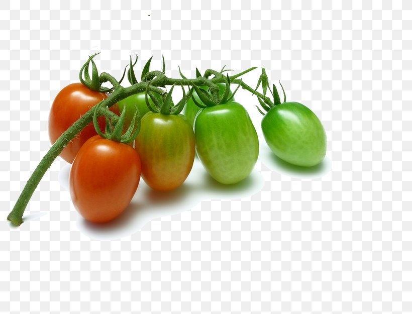 Cherry Tomato Vegetable Fruit Grape Tomato Plum Tomato, PNG, 815x625px, Cherry Tomato, Bush Tomato, Cherry, Cucumber, Diet Food Download Free