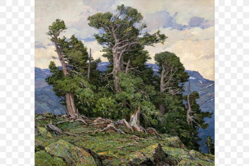 Krasnoyarsk Pine Painter Landscape Painting, PNG, 900x600px, Krasnoyarsk, Biome, Cedar, Conifer, Ecosystem Download Free