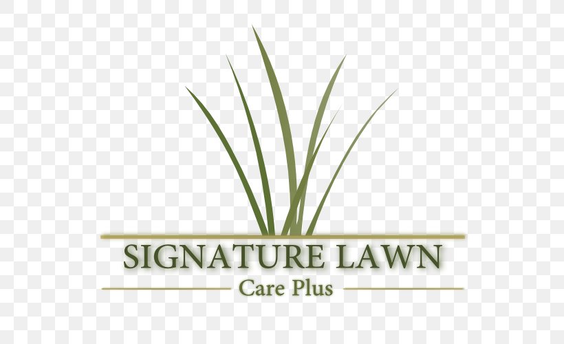 Logo Font Hemp Grasses Plant Stem, PNG, 696x500px, Logo, Brand, Family, Grass, Grass Family Download Free
