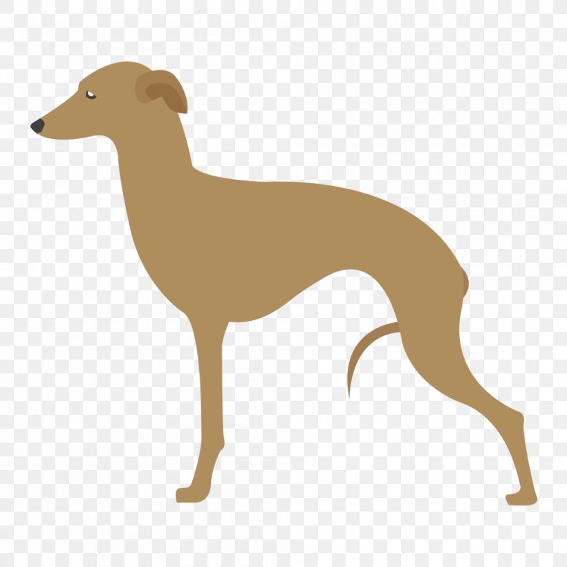 Lurcher Italian Greyhound Spanish Greyhound Azawakh, PNG, 1000x1000px, Lurcher, Animal Sports, Azawakh, Breed, Carnivoran Download Free