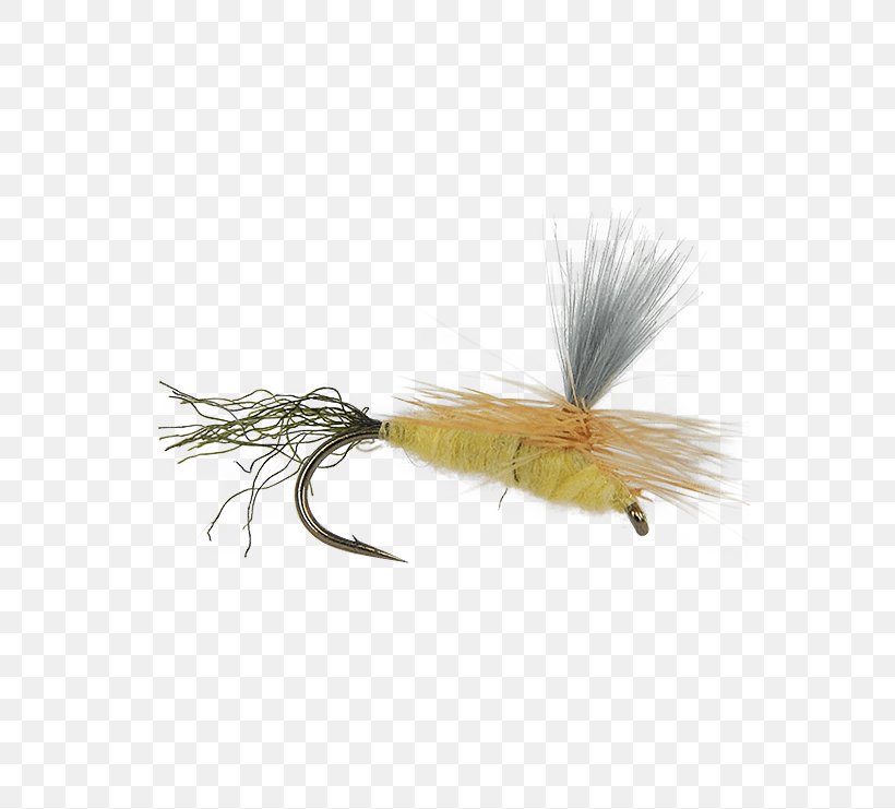 Artificial Fly, PNG, 555x741px, Artificial Fly, Fishing Bait, Fly, Insect, Invertebrate Download Free