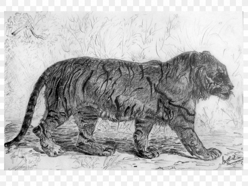 Big Cat Dog Terrestrial Animal Canidae, PNG, 1200x900px, Cat, Animal, Big Cat, Big Cats, Black And White Download Free