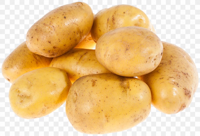 Fingerling Potato Russet Burbank Potato Yukon Gold Potato Tuber STX EUA 800 F.SV.PR USD, PNG, 1600x1092px, Fingerling Potato, Food, Potato, Root Vegetable, Russet Burbank Potato Download Free