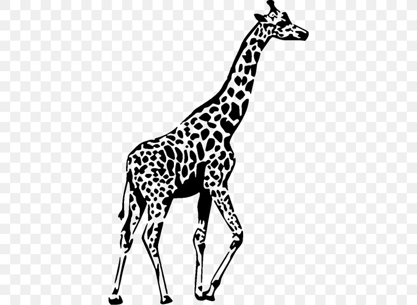 Wall Decal Sticker Giraffe, PNG, 600x600px, Wall Decal, Animal Figure, Black And White, Decal, Decorative Arts Download Free
