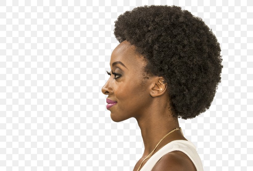 Afro-textured Hair Jheri Redding Hair Coloring Jheri Curl, PNG, 653x555px, Afro, Afrotextured Hair, Artificial Hair Integrations, Costume, Hair Download Free