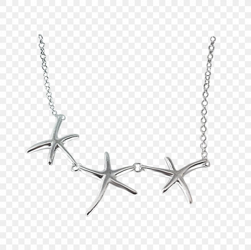Necklace Charms & Pendants Silver Body Jewellery, PNG, 1000x998px, Necklace, Body Jewellery, Body Jewelry, Charms Pendants, Fashion Accessory Download Free