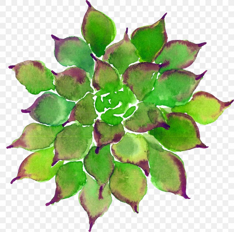 Succulent Plant Leaf Watercolor Painting, PNG, 1990x1970px, Succulent Plant, Branch, Cactaceae, Colored Pencil, Drawing Download Free
