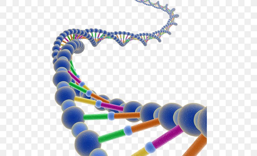 The Double Helix: A Personal Account Of The Discovery Of The Structure Of DNA Nucleic Acid Double Helix Adenine Guanine, PNG, 500x500px, Nucleic Acid Double Helix, Adenine, Base Pair, Blue, Body Jewelry Download Free