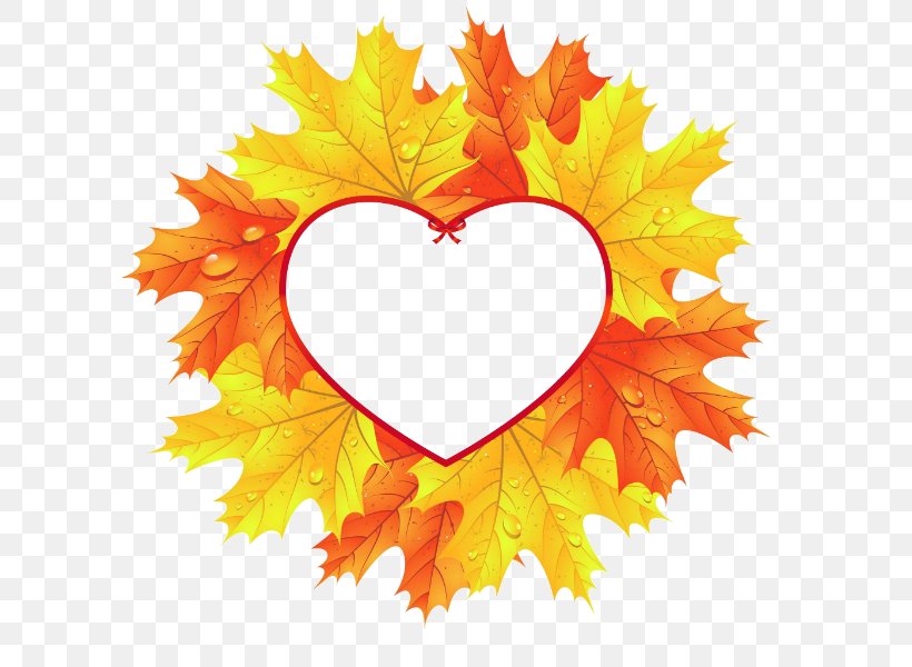 Autumn Leaf Color Heart Maple Leaf, PNG, 600x600px, Autumn Leaf Color, Autumn, Can Stock Photo, Fruit, Heart Download Free
