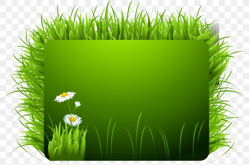 Euclidean Vector GRASS GIS Illustration, PNG, 1594x1056px, Grass Gis, Commodity, Grass, Grass Family, Green Download Free