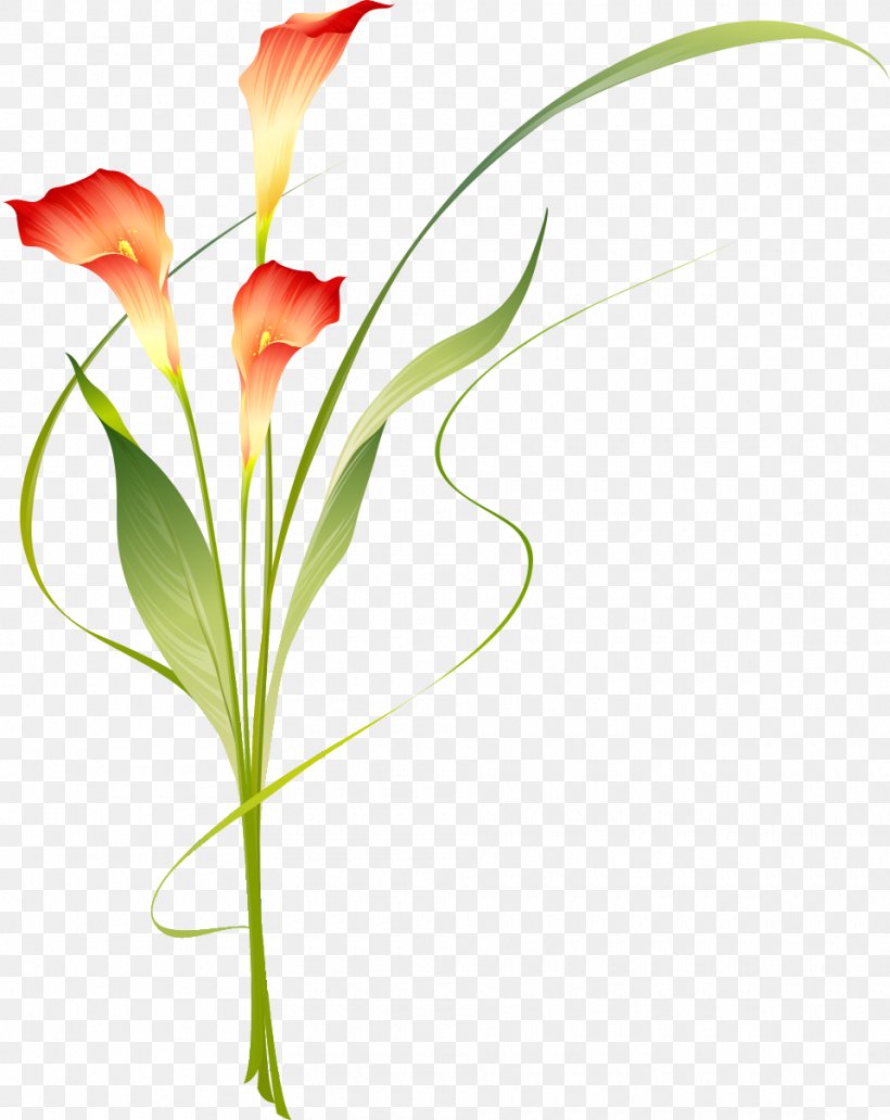 Floral Design Verdier Bernard Emile Cut Flowers Carnation, PNG, 960x1209px, Floral Design, Alstroemeriaceae, Bud, Carnation, Cut Flowers Download Free