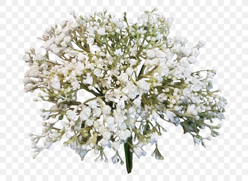 Flower Bouquet Baby's-breath Cut Flowers, PNG, 800x600px, Flower, Blossom, Branch, Cut Flowers, Floral Design Download Free