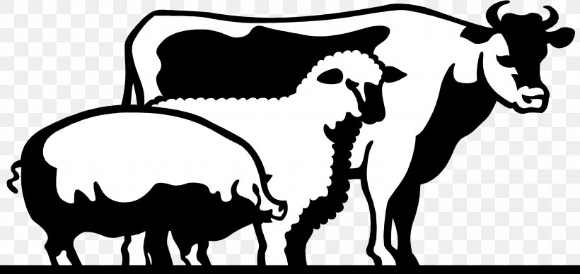 Cattle Domestic Pig Livestock Show Clip Art, PNG, 2860x1356px, Cattle, Agricultural Show, Agriculture, Black And White, Cattle Like Mammal Download Free