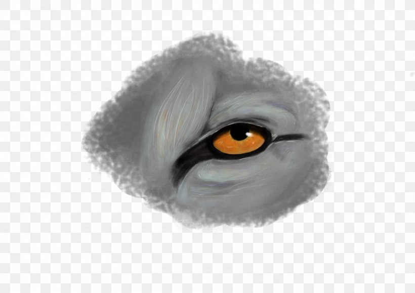 Eyebrow Fur Eyelash Close-up, PNG, 900x636px, Watercolor, Cartoon, Flower, Frame, Heart Download Free