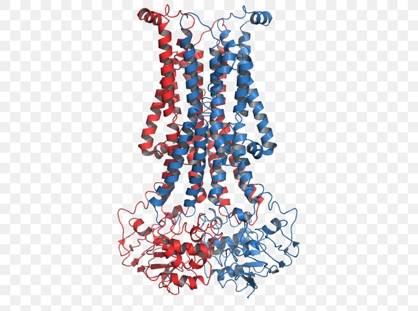 Flippase Phospholipid ATPase Transmembrane Protein Biological Membrane, PNG, 413x611px, Watercolor, Cartoon, Flower, Frame, Heart Download Free