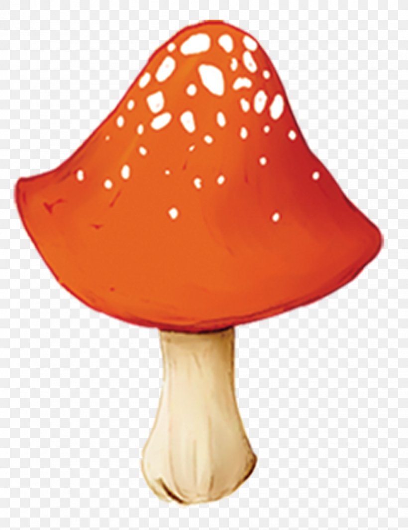 Orange Fungus Mushroom, PNG, 1444x1877px, Orange, Cartoon, Designer, Drawing, Fungus Download Free