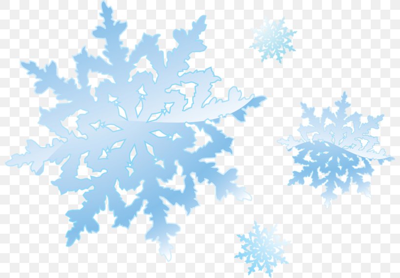 Snowflake Clip Art, PNG, 800x571px, Snowflake, Blue, Branch, Cloud, Petal Download Free