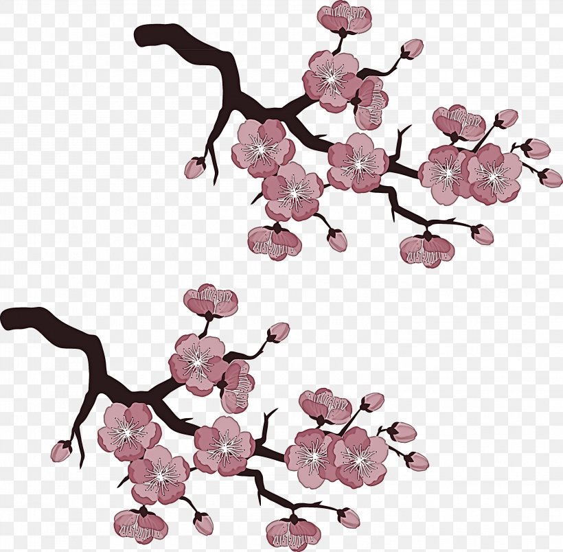 Cherry Blossom, PNG, 2989x2933px, Pink, Blossom, Cherry Blossom, Flower, Plant Download Free