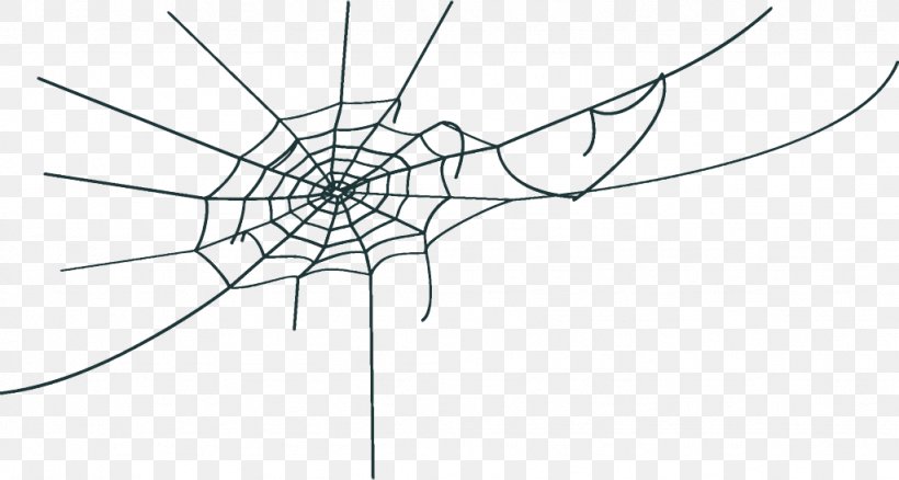 Spider Web Halloween, PNG, 1024x548px, Spider Web, Blackandwhite, Halloween, Line Art, Symmetry Download Free
